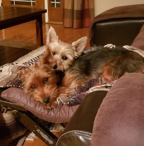 Meet your Posher, Teri